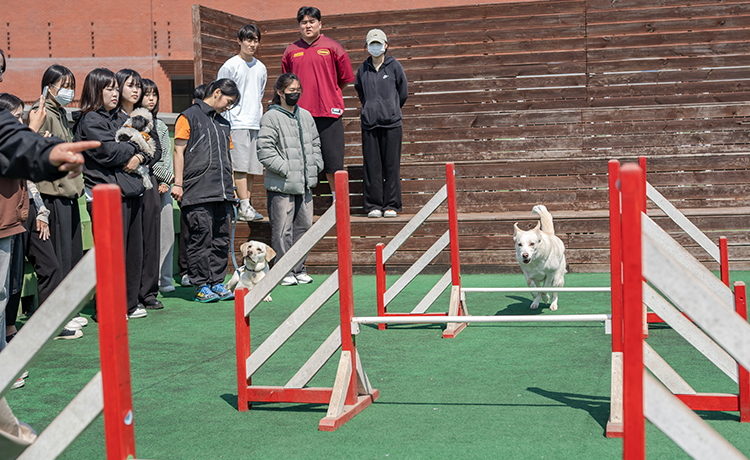 바이오동물보건과 관련이미지1